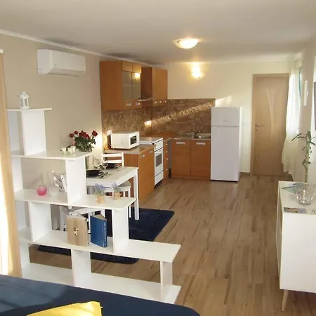 Apartment Studio 16555a Mali Losinj